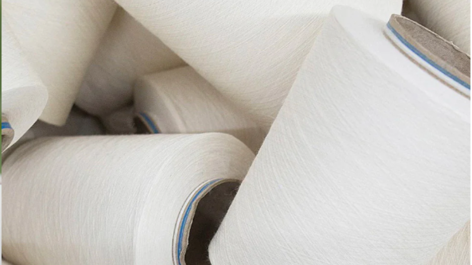 El Algodón Peruano: El Alma de Nuestra Ropa Interior